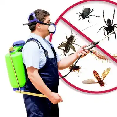 pest control Gambrills